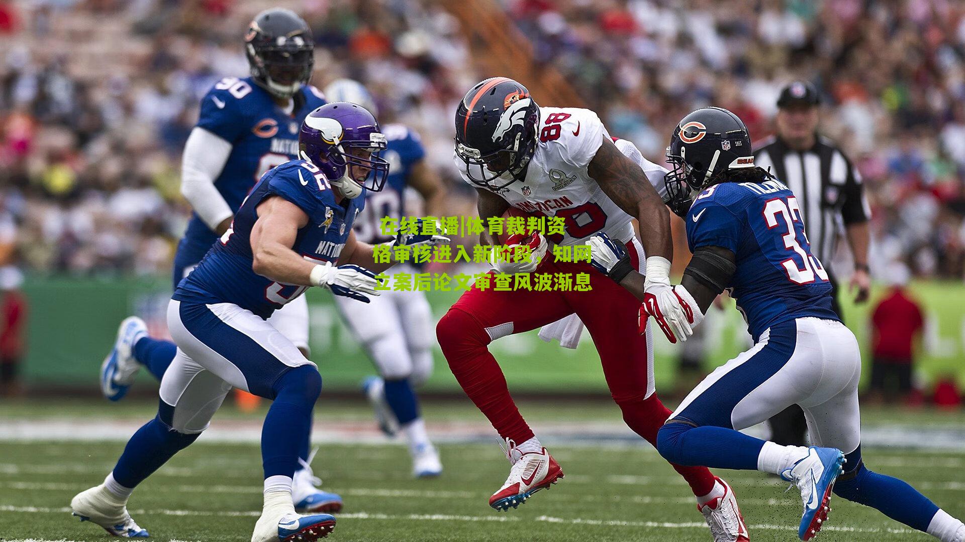 体育裁判资格审核进入新阶段，知网立案后论文审查风波渐息