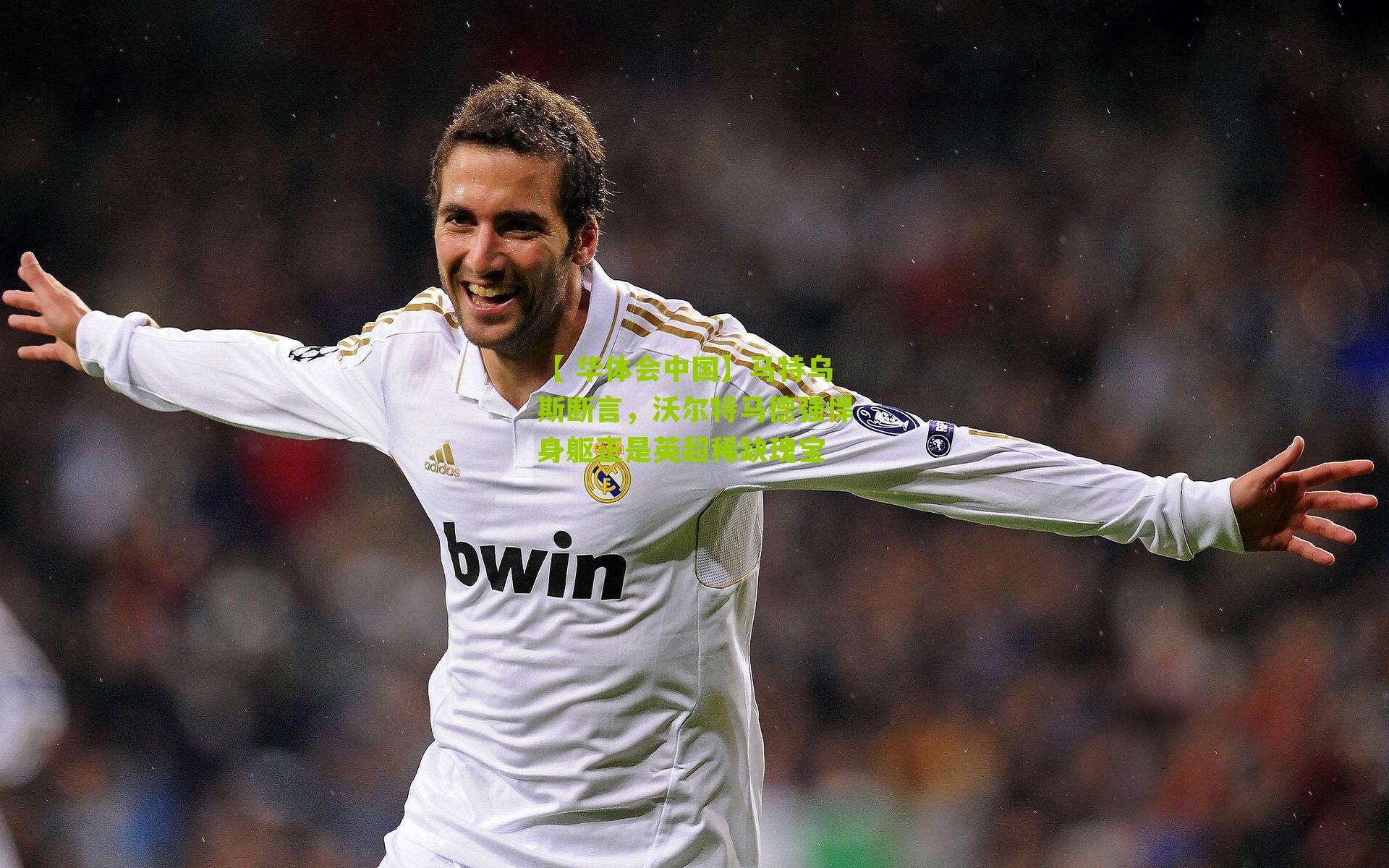 马特乌斯断言，沃尔特马德强悍身躯正是英超稀缺瑰宝